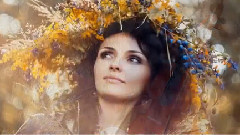 音乐短片 - Beauty In Magic Forest