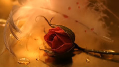 音乐短片 - НАРИСУВАЙ МІ! -Залучити мене