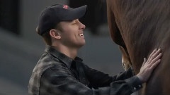 The Clydesdales Brotherhood