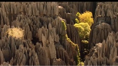 音乐短片,风景 - Madagascar