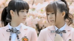 SNH48 - 化作樱花树
