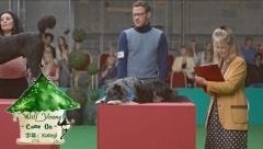 Will Young - Come On