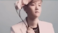 EXO,EXO-M,EXO-K - 所谓奖励