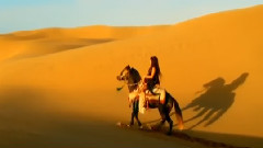 Sarah Brightman - The Journey Home
