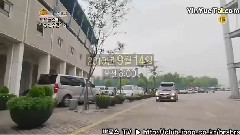 群星 - 偶像明星运动会