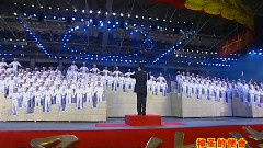 群星 - 战友情深