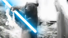 搞笑音乐 - Kung Fu Bear