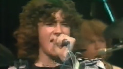Def Leppard - Wasted