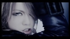 the GazettE - The Invisible Wall
