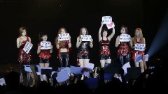 T-ara - 演唱会预告