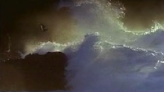 苏慧伦,轻音乐 - 鸭子