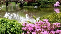 Le Jardin