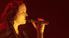 Schiller - The Fire