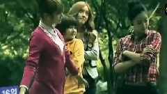 T-ara,智妍 - 顺位介绍
