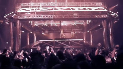 Q-Dance - Qdance New Live