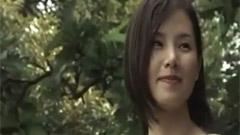 郑伊健 - 虫儿飞