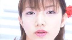 早安家族 - 赤い日記帳