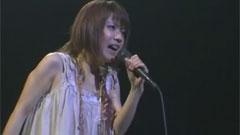 藤田麻衣子 - 运命の人