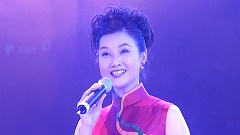 宋祖英 - 长大后我就成了你