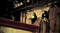 Sarah Blasko - All I Want HibOO