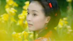 赵薇 - 往事难忘