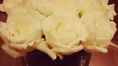 张杰 - 张杰更新Ins视频一则