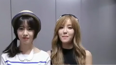 T-ara,朴孝敏(T-ara),智妍 - T-ARA给2014年仁川K-POP节 问候VCR