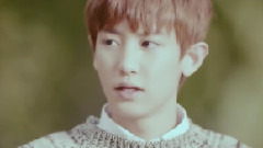 EXO-K,EXO - 为何如此俗气