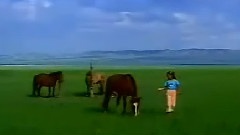 轻音乐,音乐短片 - 归来的马
