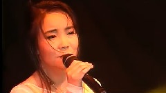辛晓琪 - 走过