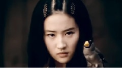 刘亦菲,林峯 - 无双之无情