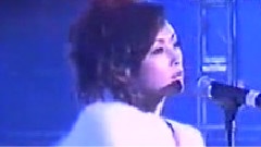 酒井法子 - 我只在乎你 & 碧绿色的兔子
