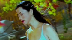 毛阿敏 - 绿叶对根的情意