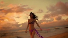 欧美群星 - Free Your Soul