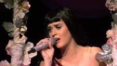 Katy Perry - Not Like A Movie