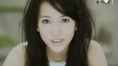 弦子 - 无可取代