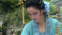 邓丽君 - 虞美人