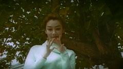 陈文媛 - 东方魅力