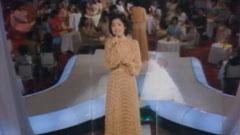 邓丽君 - 夜的乘客