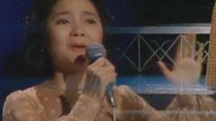 邓丽君 - 夜雾