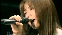 仓木麻衣 - Growing Of My Heart
