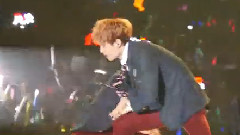 EXO,EXO-M,张艺兴(EXO) - Wolf