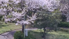 Mr.Children - 未来
