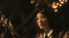 华语群星 - 斑马与蝴蝶