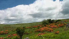 kiroro - 向着未来