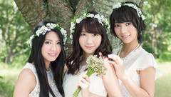 French Kiss - 思い出せない花