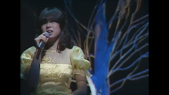 中森明菜 - カタストロフィの雨傘 & 1/2の神話