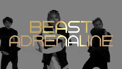BoA,MYNAME,BEAST,Boyfriend,CNBLUE - Japan Release