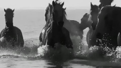 Ride On