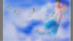 原创 - 卷珠帘